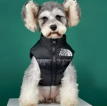 Puppy Warm Black Down Sleeveless Jacket