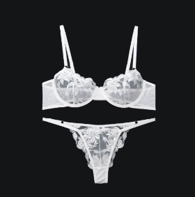Tifany Lingerie Set with Sheer Lace Bra (One Set)