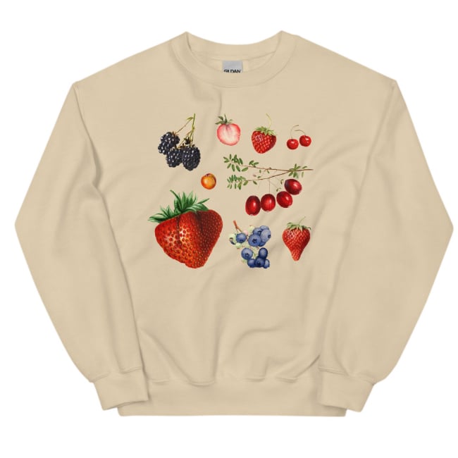 Mixed Berry Print Long-Sleeve Sweater for Autumn/Winter