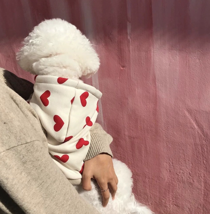Printed Love Sweater Pet