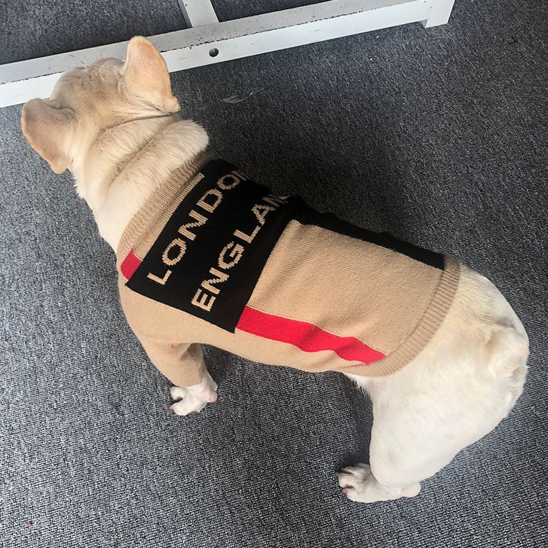 British Check Teddy Dog Costume Crew Neck Sweater