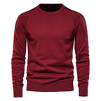 Plus Size Casual Crew Neck Sweater for Men