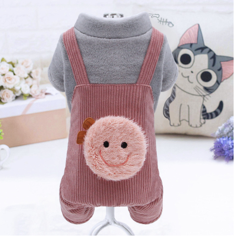 Plush Cotton Coat for Small Dogs: Teddy, Bichon, Pomeranian