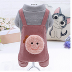 Plush Cotton Coat for Small Dogs: Teddy, Bichon, Pomeranian