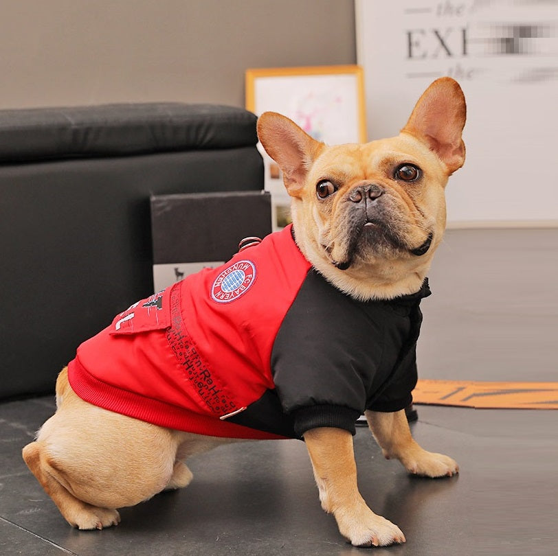 Padded Winter Coat for Small Pet Puppies