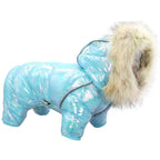 Colorful Dog Sweater with Buttoned Hat for Pets