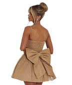 Silk Glitter Tube Top Bow Dress