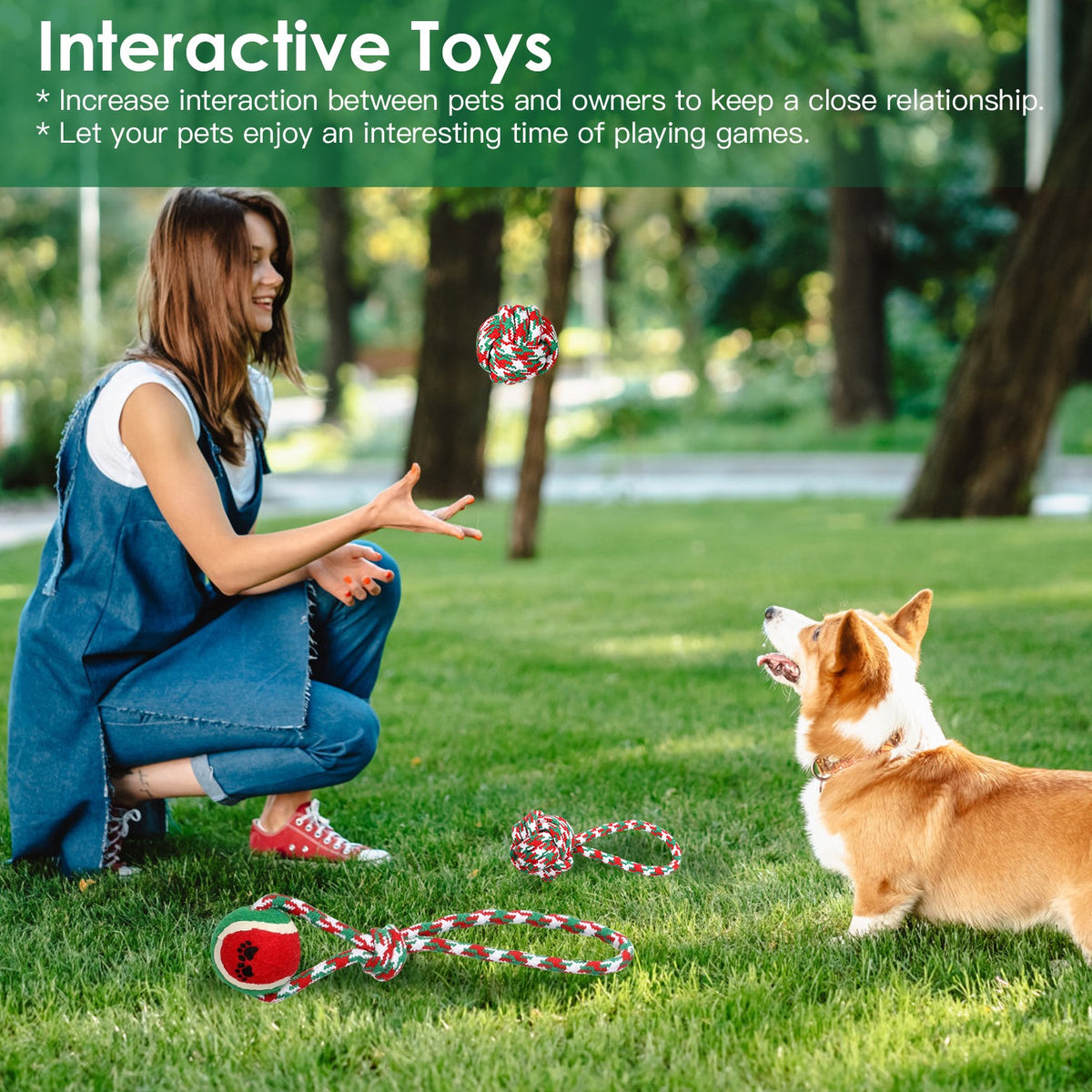 5Pcs Christmas Dog Rope Chew Toys Set