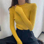 Autumn High Collar Long Sleeve Knit Sweater for Women