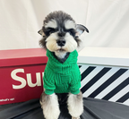 Christmas Terry Cloth Outfit for Dogs