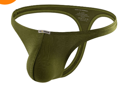 Ice Silk Mesh Briefs and Hipster Panties