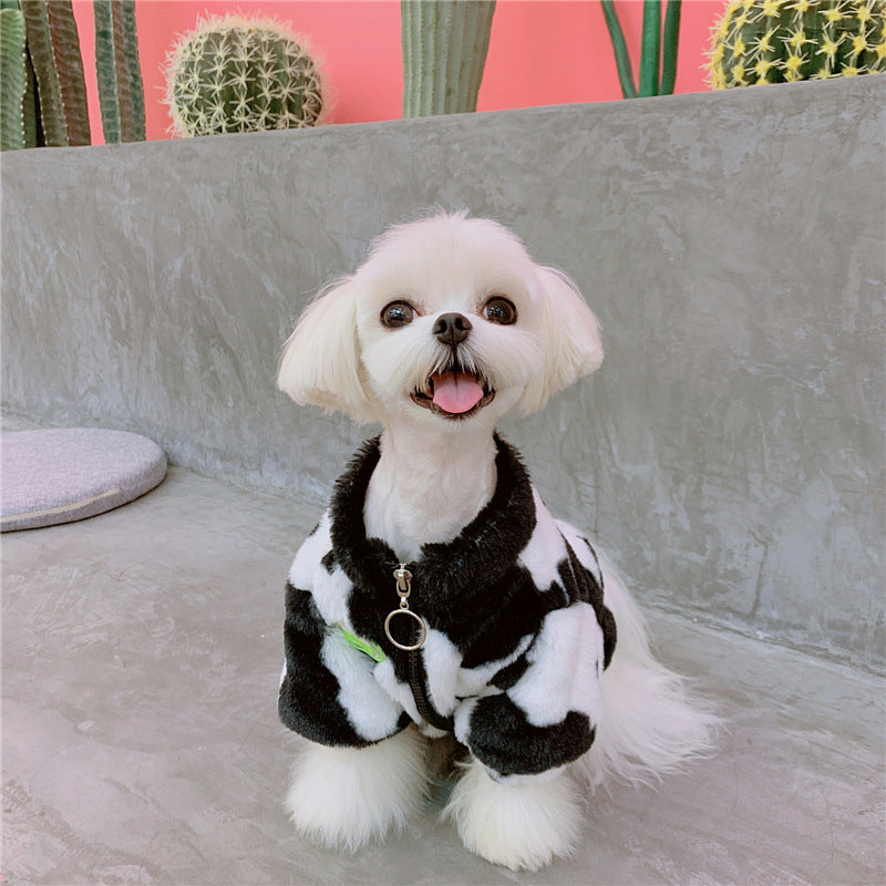 Cartoon Dog Coat for Small to Medium Pets (Warm)