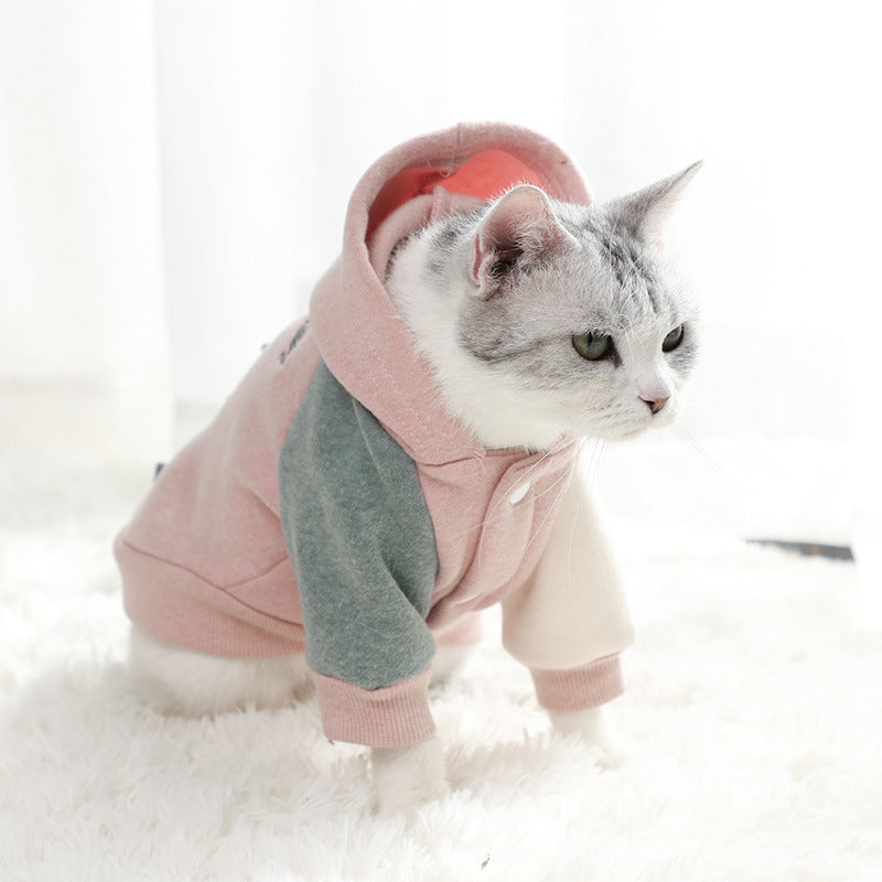 Autumn Coat for Small Dogs Keeps Them Warm