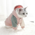 Autumn Coat for Small Dogs Keeps Them Warm