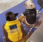 Warm Down Jacket for Small Dogs and Cats