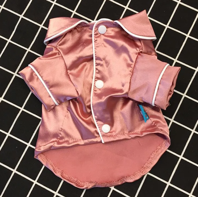 Personality Teddy Pet Outfit