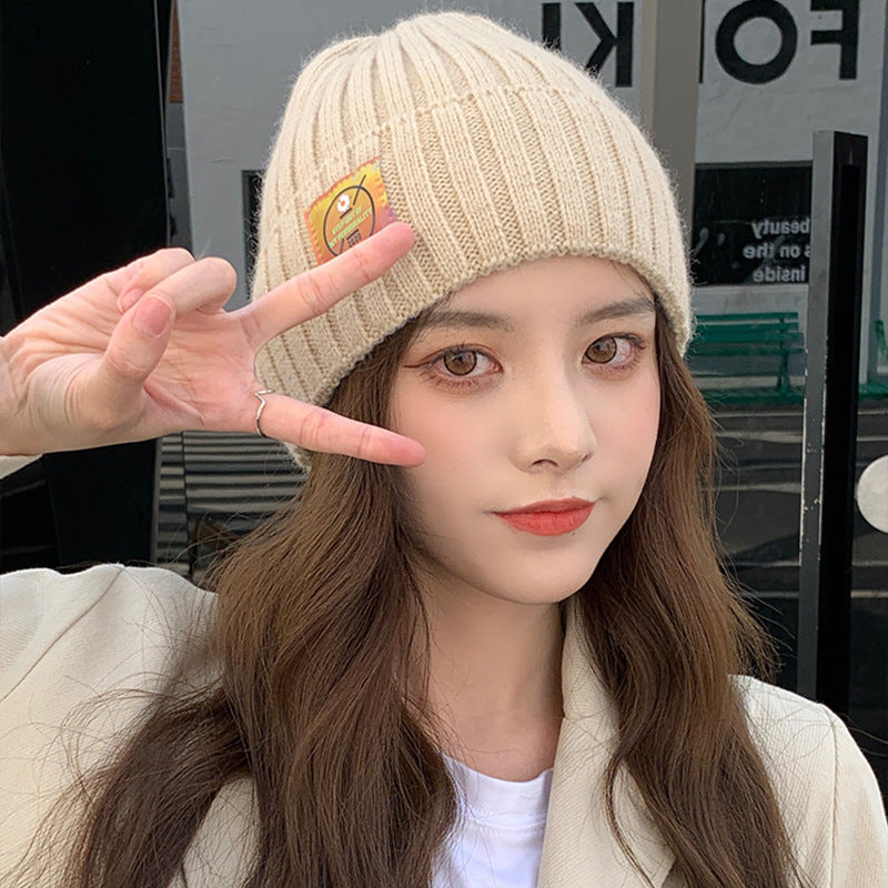 Thin Knitted Wool Hat for Autumn and Winter | Embroidered Cap