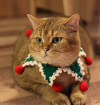 Handmade Christmas Pet Collar with Star Design