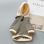 Teddy Small Dog Terry Sweater Fashion Brand Clothes