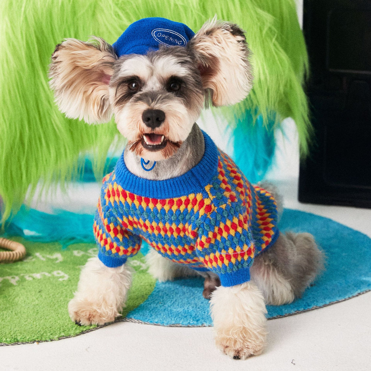 Autumn Winter Colorful Round Neck Dog Sweater