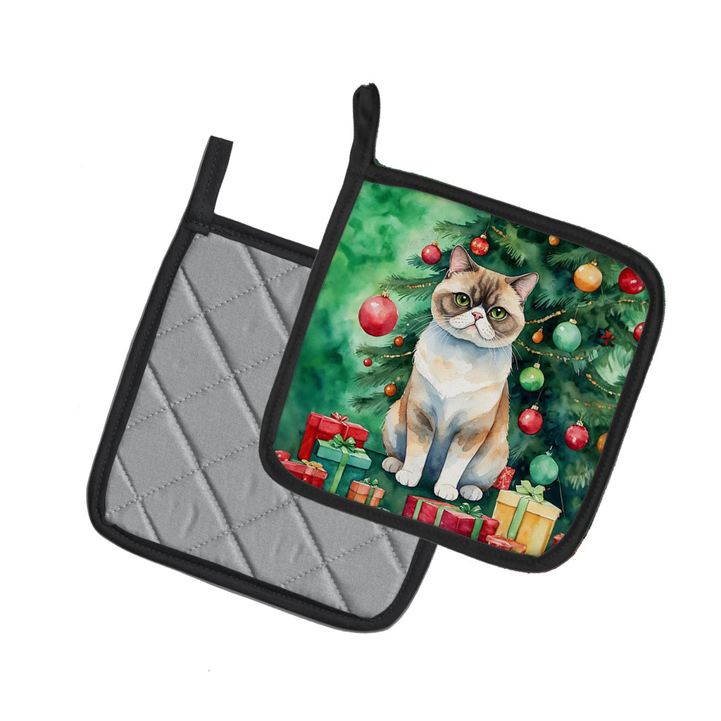 Exotic Shorthair Cat By the Christmas Tree Pair of Pot Holders