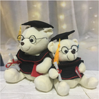 Plush Doctor Bear Toy Gift - Graduation Teddy Bear | Home Decor