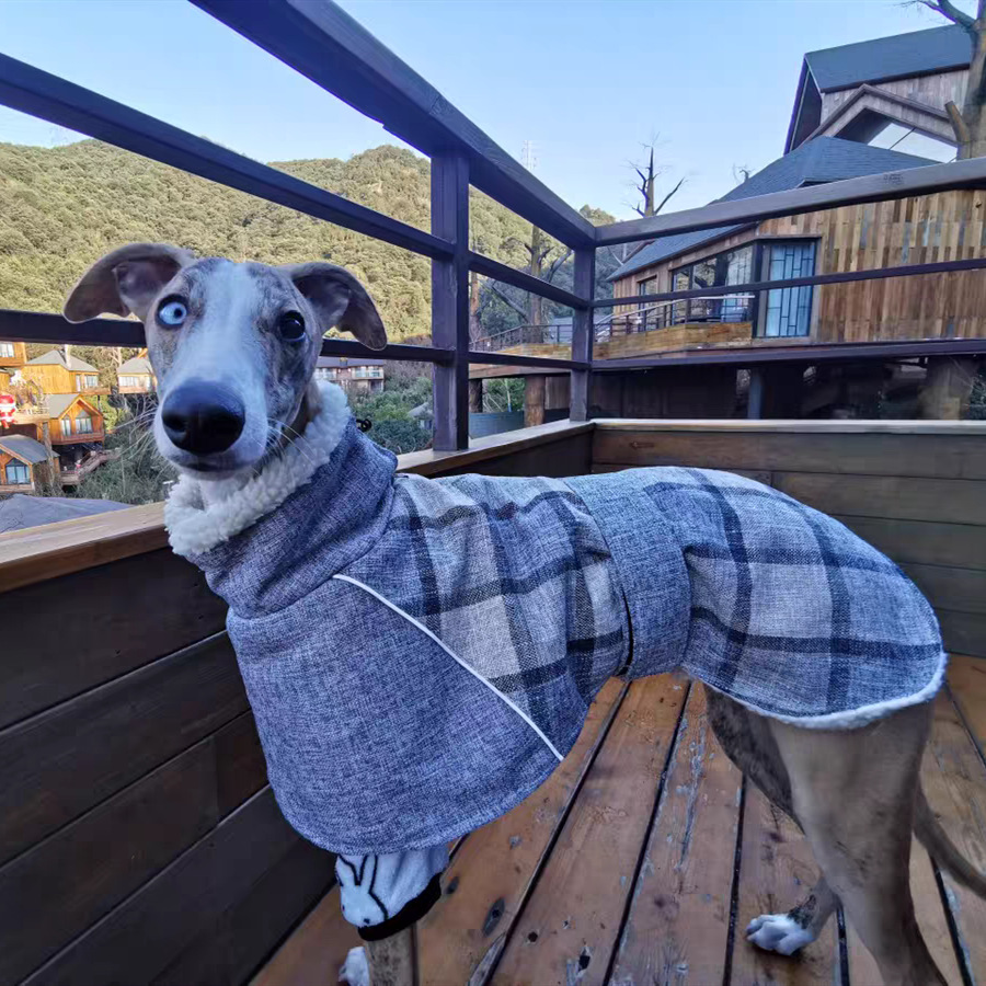Windbreaker Coat for Small Dog Pet Clothing