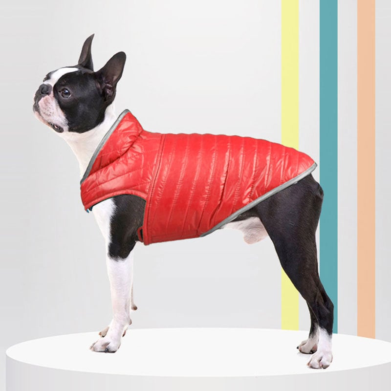 Lightweight Double-Sided Cotton Coat for Dogs