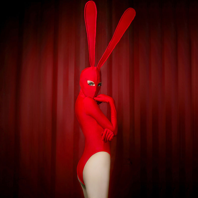 Sexy Hexagon Bunny Bodysuit for DJ Performers