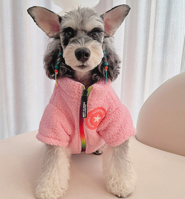 Heyelf Dog Winter Coat for Teddy Bears and Small Pets