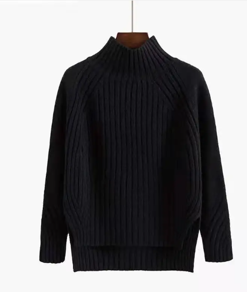 Turtleneck Pullover Long-Sleeved Sweater | Streetwear
