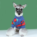 Cute Thickened Carrot Sweater for Dogs and Cats