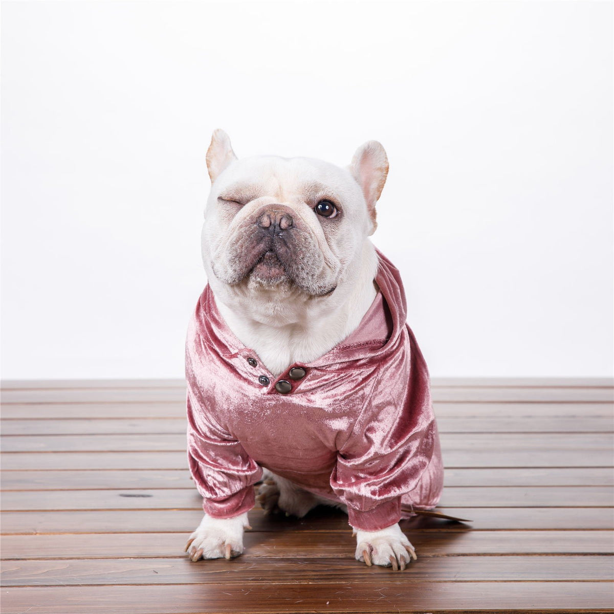 Hooded Velvet Sweater for Dogs - Fall/Winter Wear