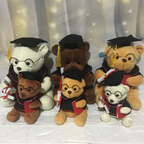 Plush Doctor Bear Toy Gift - Graduation Teddy Bear | Home Decor