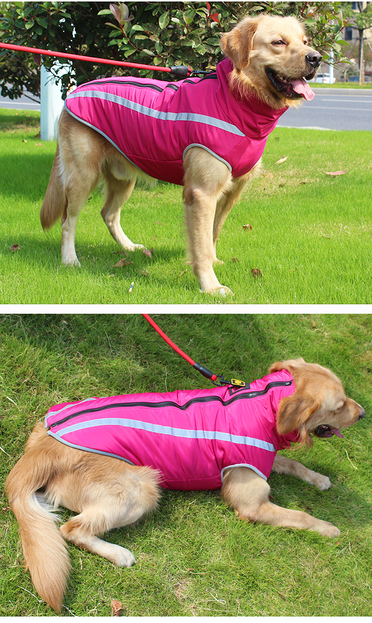 Reflective Padded Winter Jacket for Dogs