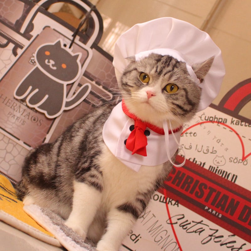 Pet Outfit with Hat and Scarf