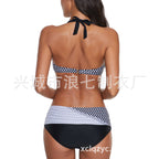 2023 New Women's Cross-Border Separates Bikini Set