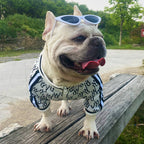 Stretchy Zip-Up Jacket for Dogs and Pets