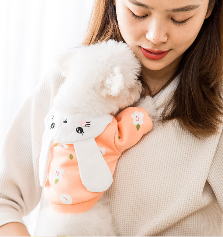 Little Rabbit Shaped Transforming Pet Sweatshirt | Streetwear