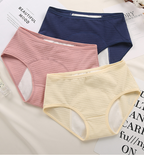 Menstrual Underwear and Panties