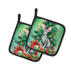 Cornish Rex Cat By the Christmas Tree Pair of Pot Holders