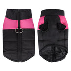 Thick Winter Pullover for Small and Large Dogs | Streetwear