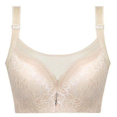 Plus Size Bra with Large Cups and Lingerie