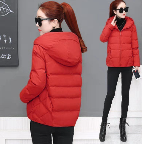 Women's Insulated Parka Jacket for Winter (One Piece)