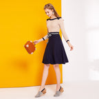 A-line Mini Sweater Dress with Turtleneck for Women