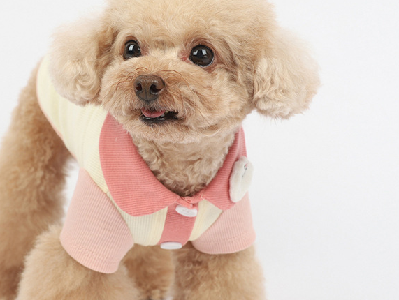 New Color Thin Cotton Cardigan for Pets (Spring/Summer)