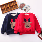 Padded Jacket Sweater for Boys