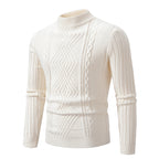 Men's Solid Color Stand Collar Sweater