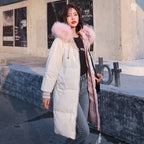 Women's Thick Cotton-Padded Gold Velvet Jacket