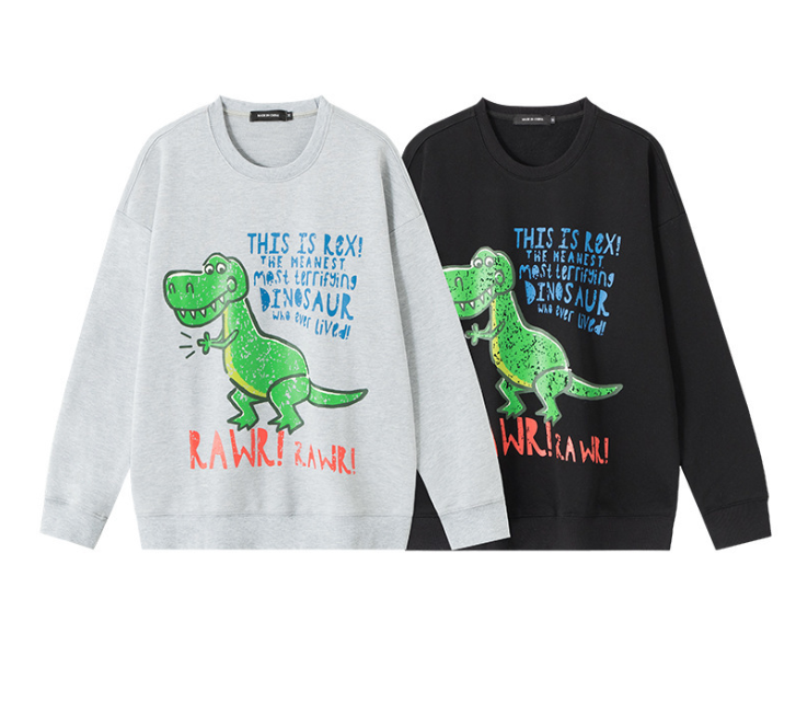 Dinosaur Embroidery Sweater for Women - Loose Fit Top